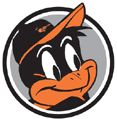 Baltimore Oriole