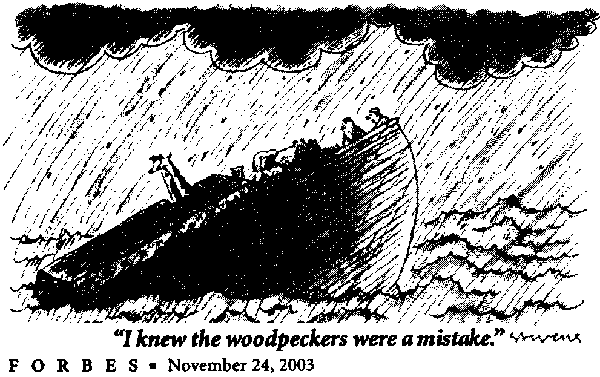 Woodpeckers on Noah's Ark