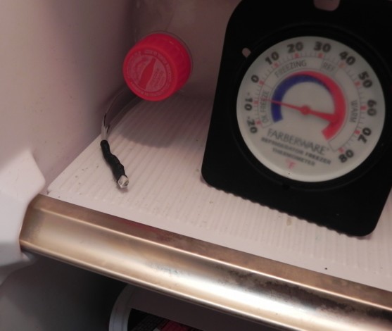 Freezer Temperature Sensor