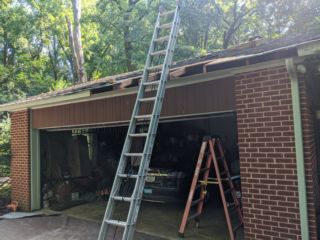 Roof Tree16