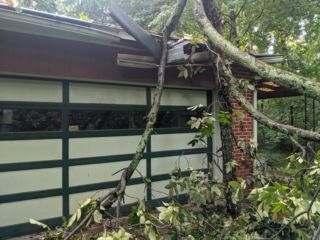 Roof Tree1