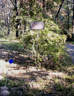 LED Road Sign