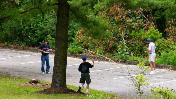 Disassembling antennas