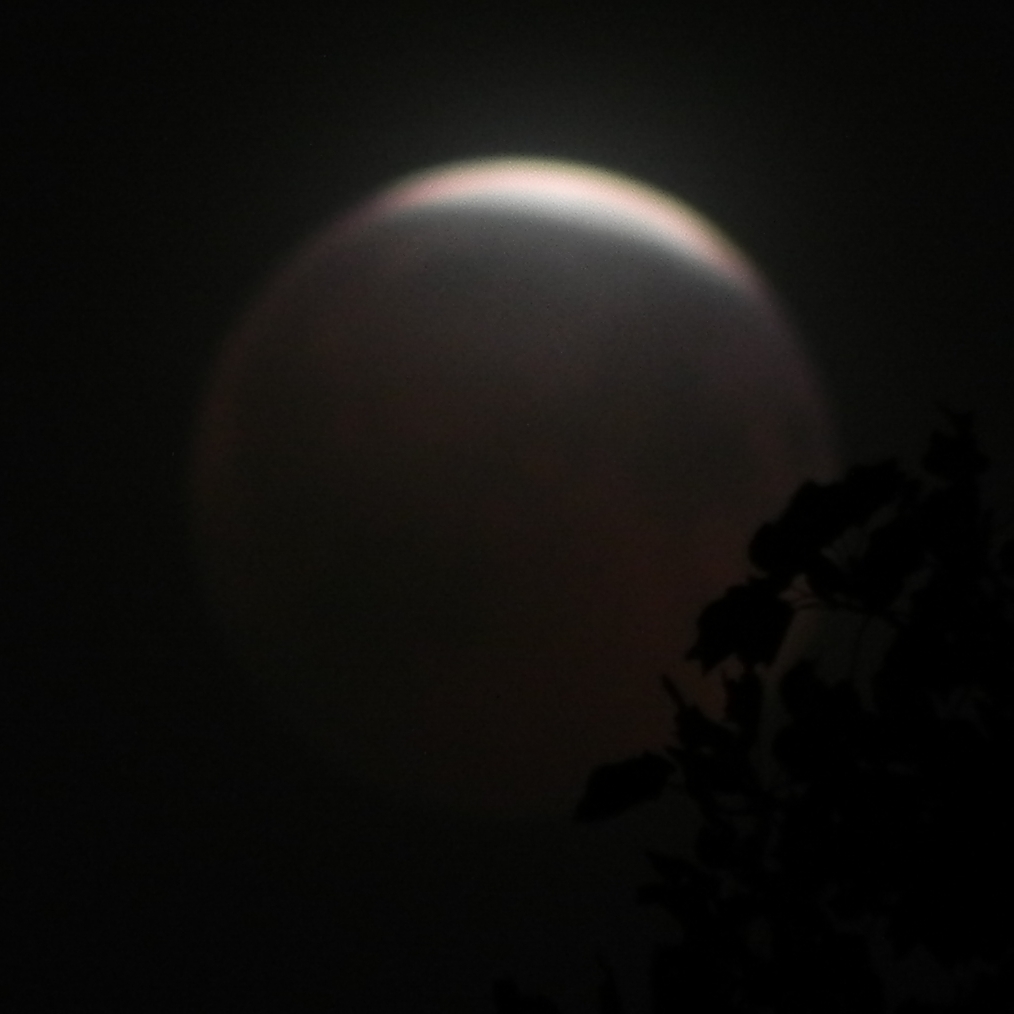 Lunar Eclipse